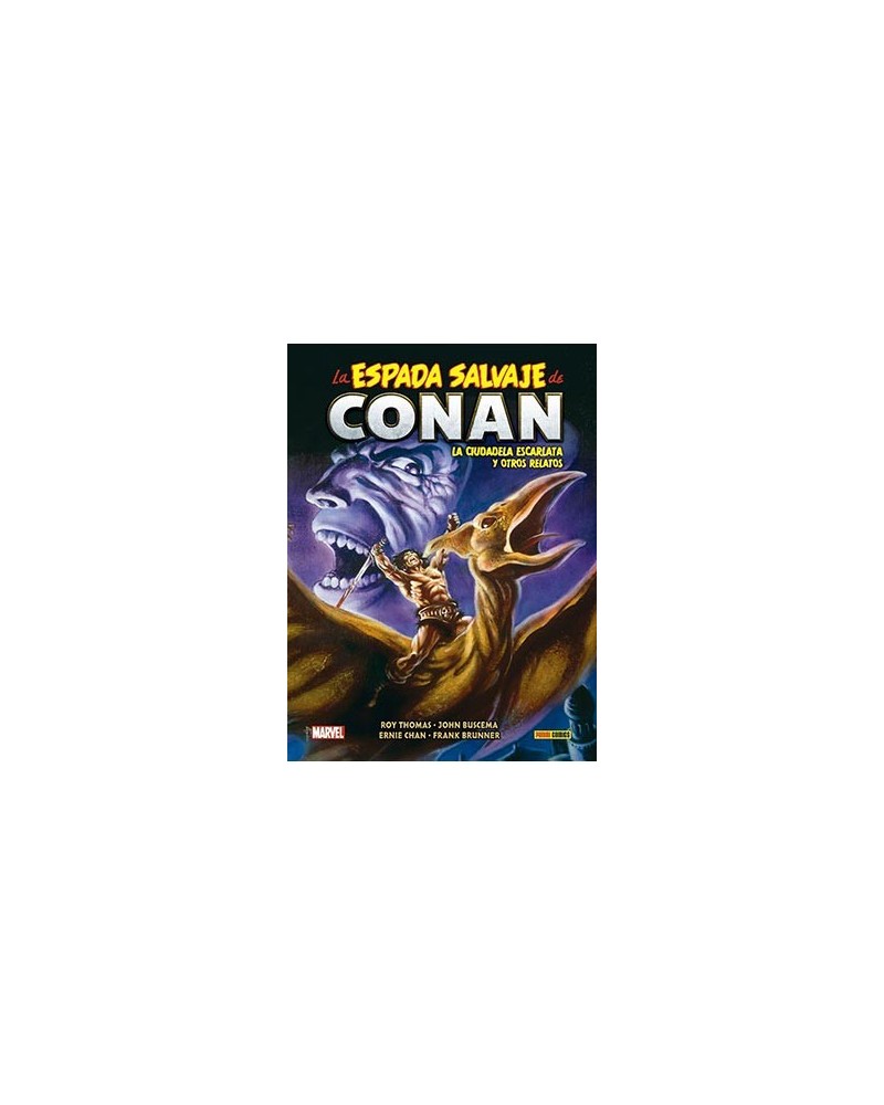 BIBLIOTECA CONAN. LA ESPADA SALVAJE DE CONAN 09 19,00 €