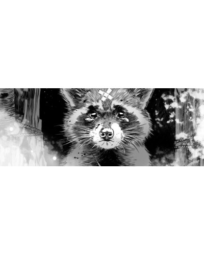 DRIFTER REALMS VOL. 1 Y 2 (NUEVA EDICIÓN) PRINT EXCLUSIVA REGALO 28,50 €