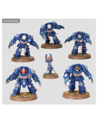 Escuadra de Exterminadores de Asalto 49,50 €