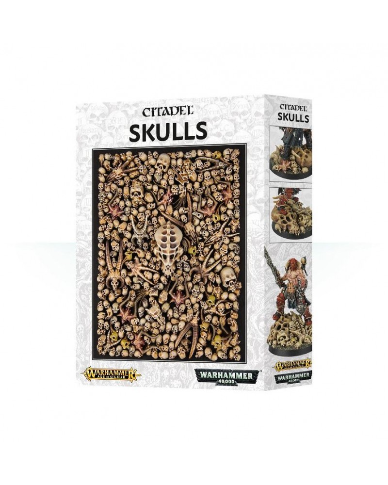 SKULLS CITADEL CALAVERAS 24,75 €