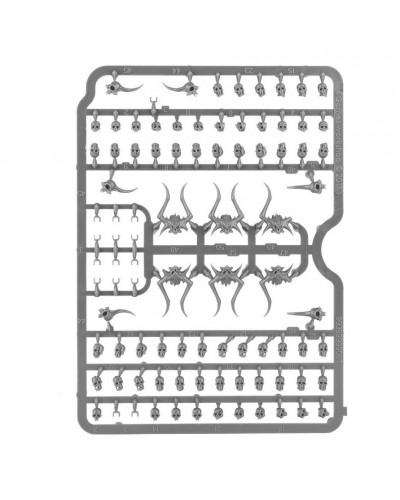 SKULLS CITADEL CALAVERAS 24,75 €