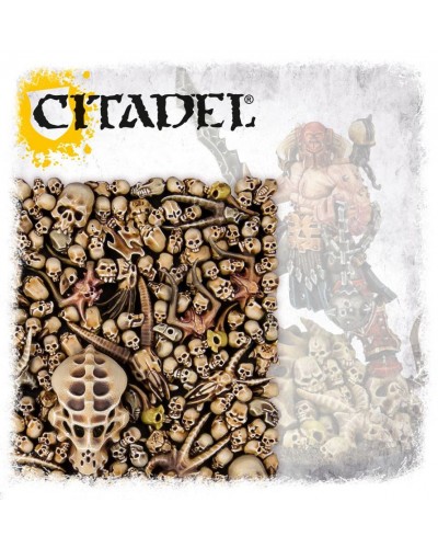 SKULLS CITADEL CALAVERAS 24,75 €